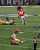 WHAT AN INT  @GeorgiaFootball