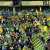 The Championship clubs with the highest average percentage of their stadium filled this season:   Norwich - 95.5% of stadium filled  Luton - 94.5%  Watford - 87.7%  Sheffield United - 86.9%  Rotherham - 86.4%  Burnley - 86.1%  West Brom - 85.2%  #NCF