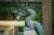 【 #鎌倉殿の13人 その時、#陰陽師 は】 #平家物語 では、どんなに探しても見つからない #壇之浦 に沈んだ草薙剣のゆくえを、最終的に高名な #陰陽師 に占わせたとあります。 占の結果「竜神の化身であった #安徳天皇 が海の底に持ち帰ったのだ」と陰陽師が申した。 &hellip;という物語になっております。