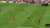 Chunkz with a 40 yard screamer!!!  #sidemenCharityMatch