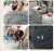 В упор бахнули тварюку!!!  '4.02.23  капитан 4 бригады 2 Армейского корпуса 8 армии ВС РФ, командир взвода антиБПЛА и член ОПСБ Игорь 'Берег' Мангушев был доставлен в нейрохирургию г. Стаханов, со слепым огнестрельным пулевым ранением в голову. Админ