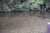 みなさまおはようございます。 今朝のホテル椿山荘東京はポツポツと雨が降り始めていました。 対局室の外の池は庭園の桜の花びらが浮き、ゆっくりと時計回りに動いていました。 #名人戦 #ホテル椿山荘東京 #渡辺明 #藤井聡太