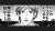お前とすりみ連合を応援するのは、俺だと思っていた&hellip;&hellip;   #スプラトゥーン3 #Splatoon3 #NintendoSwitch #今夜アナタと眠りたい #バンカライブ