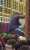 Pushing and stressing hysterically, a man tries to escape..during the celebrations at the Halloween party..in South Korea..  #SouthKorea #Halloween  #Seoul   #Itaewon #이태원 #이태원사고 #압사사고.
