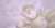 21日に死去していたことが発表されるグラビアアイドルの片瀬美月さんが3月21日に亡くなっていたことを...