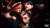 そーちん、えでぃ、コアくんお誕生日おめでとう同じ事務所で同じ誕生日の３人118*ଘ(੭*ˊᵕˋ)੭* #BMSG #BEFIRST  #SOTA  #edhiiiboi #NovelCore