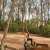 Sometimes you win Sometimes you learn \ud83d\udda4   #forestphotography  #nature  #naturephotography  #naturelovers  #lovelyplace  #europe  #staycation  #homesweethome  #explore
