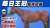 名伯楽・藤沢和雄元調教師が最後のダービー出走を断念してまで成長を促した理由がようやく分かった気がしました。  #毎日王冠 #キングストンボーイ #サムネイルの馬の名前当てられたら凄い