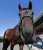 デアリングタクトの単勝を獲りたいと改めて思わされるジャパンCでした  #キミと勝ちたい