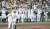 ９回、#栄枝裕貴 捕手の同点の適時打に湧く阪神ナイン