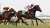 NEW column: exploring the genetic impact of #SundaySilence, #DeepImpact and other successful stallions on the current generation of thoroughbreds. The field of #JapanCup entrants is one small slice of that history. #horseracing #競馬 #ジャパンカップ