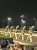 ミックファイア三冠(羽田盃、東京ダービー、ジャパンダートダービー)達成おめでとう  悲願達成に泣いてた人結構いて、素直にボクもうれしかったです(*ﾟ&forall;ﾟ*)  会場の熱が半端ない！やっぱ競馬はお金賭けなくてもおもしろい！  またいつか大井に来るよ