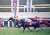 フィリーズレビューはシングザットソングが人気に応えて快勝。2着にムーンプローブ。3着はジューンオレンジ。ドゥラメンテの産駒が「桜花賞トライアル」の舞台。重賞初挑戦で初タイトルを獲得しました。#フィリーズレビュー