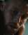 A decade of GOOD. Thankful  #Curry10