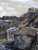 Purple sandpiper yesterday.  Hannafore beach, Cornwall. @CBWPS1 #birdphotography #birds #BirdsSeenIn2023 #BirdsOfTwitter #NaturePhotography #naturelovers #TwitterNatureCommunity #wildlifephotography