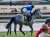 《東京第10レース》 #クロッカスステークス #ヤクシマ #クリストフ・ルメール #東京競馬場