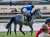 《東京第10レース》 #クロッカスステークス #ヤクシマ #クリストフ・ルメール #東京競馬場