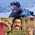 #OmRaut #Adipurush #AdipurushReview #SaifAliKhan  Best meme till now