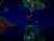one of my special skills is singing the chorus of this song to my cats. should i add that to my resumeQuotesongs that changed history@iconiksongs·Jan 730 years ago, mariah carey released ‘always be my baby’