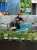 Ненужные стране агрессору люди: Зельфира Трегулова, уволенная сегодня с поста директора Третьяковки, была замечена в бизнес-зале аэропорта Шереметьево. Фото прислал подписчик &laquo;Базы&raquo;