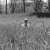 | @taylorswift13&rsquo;s &ldquo;folklore&rdquo; officially surpassed Ariana Grande&rsquo;s &ldquo;positions&rdquo; as the 85th most-streamed album on Spotify!
