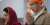 sidkiara - a lovestory from reel                       to real