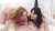 Sexy babes @OktaviyMilton and Veronika Fare give a #blowjob and get fucked in this hot #threesome at   #oralsex #xxx #hardcore #cumshot #TettiDewKorti #VeronikaFare