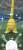 Golden long neck  \u2728 \ud83e\udd70 #Pokemon #ShinyCheck #ShinyPokemon #Shiny #PokemonGO