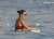 Danielle Bux Shows Off Her Curves in a Burgundy Bikini in Ibiza (45 Photos)
