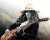 I'm as free as a bird now....RIP Gary Rossington of @Skynyrd  #RIPGaryRossington