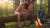 Hungry stepsister greedily sucks my cock in the campground