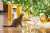 Dear Santa Paws, please bring furever homes, loving hoomans and an abundance of yummy nom noms and toys to all shelter pets. That&rsquo;s our wish this year. If pawssible, can you make those ornaments that we broke disappear? Hoomans, #AdoptDontShop.