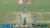 What a ball to get your first Test wicket!   Immediate impact by Abrar Ahmed   #PAKvENG | #UKSePK