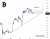 #Bitcoin is dead  #crypto #Altseason