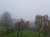 Einen sch&ouml;nen Sonntagmorgen.  Nebel im Sauerland ! Trotzdem einen entspannten Sonntag, sowie einen guten Start in die neue Woche. Bleiben Sie gesund.  Gru&szlig; aus dem Sauerland.  @TheThinkTankOn1