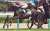 おはようございます  東京競馬場　#東京新聞杯　出走予定　#ピンハイ　栗東坂路4F58秒0ー13秒3を計時。過去10年・前走 エリザベG1 (3-0-1-1)複勝率80.0%のローテ。前走は外が有利な馬場を先行し道悪な内で脚を使い9着。仕切り直しの1戦となれば&hellip;  今日も『#何とか成る』精神で頑張ります