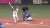 8回裏、小幡選手の本日3安打目となるタイムリーヒットで再び突き放す！ #hanshin #虎テレ #阪神タイガース #ARE