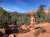 Tread more lightly upon the land #sedona #nudist #nudism #nakedinnature #nudeinnature #nakedisnatural #nakedisnormal #nakedhiking #barefoothiking #barefoot #barefootlife #publicnudity #nakedinpublic #nakedoutdoors #nakedadventures #traditionaldress