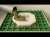 Pourquoi ne l'ai-je pas su plus t&ocirc;t&nbsp;? 7 fa&ccedil;ons gratuites de recycler canettes vides, tuyaux en PVC e