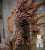 it's friday and time for another  Fungi Fact Friday   to celebrate the release of the first The Last of Us episode earlier this week I want to tell you about Cordyceps. more specifically Ophiocordyceps Unilateralis, the real life inspiration behind t