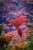 gm   Thank you Behance for featuring Fabled Gardens in the Best of Behance curation!!