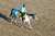 本日、中京11Rに登場します みんな大好き、リフレイムさん まずは全人馬が無事に&hellip; #リフレイム  #黒岩陽一厩舎  #野中悠太郎騎手 #コールドムーンステークス