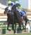 #ゼンノロブロイ 死す　０４年に秋の古馬ＧⅠ３連勝「苦しむこともなくスッとこの世に別れ&hellip;ロブロイらしいカッコよさ」   #東スポ競馬 #競馬