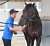 【 #毎日王冠 】岩田康の&ldquo;味変&rdquo;成功　　#ノースブリッジ が実績馬を一蹴へ   #東スポ競馬 #競馬