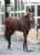 #阪神JF は #リバティアイランド   おめでとうございます  #東スポ競馬 #競馬 #POG