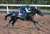 ３時の #アカイイト   #有馬記念 #東スポ競馬 #競馬
