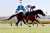 【 #ダイヤモンドS 】#ミクソロジー が４連勝で重賞初制覇　レコードタイムのおまけつき   #東スポ競馬 #競馬