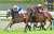【#阪神牝馬ステークス 結果＆コメント】#サウンドビバーチェ 重賞初Ｖ　浜中「次のＧⅠでもいい走りをしてくれると思う」   #東スポ競馬 #競馬