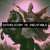 North America will become Catholic South America will remain Catholic Australia & Oceania will become Catholic Europe will become Catholic Asia will become Catholic Africa will become Catholic The Penguins in Antarctica will become Catholic  EART
