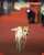 Lo mejor y m&aacute;s lindo de la alfombra roja en la Noche Cero. #FestivalDeVi&ntilde;a2023 #FestivalDeVina #NocheCero  #festivaldevi&ntilde;a #AlfombraRoja